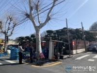 (포토) 대전 석교동 길거리서 주류 운송 트럭 전도