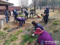 의령군 시설관리사업소, 서동생활공원 등 봄꽃심기