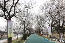 상주문협, 북천 둑방서 벚꽃 시화전 열어