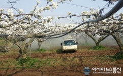 충남 천안시, 과수 화상병 박멸을 위한 공동 약제방제
