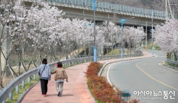 산청군, 항노화산들길 경호강변 구간 조성 ‘착착’