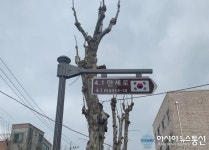 대전 중구, 4.1만세로 명예도로 시설물 설치