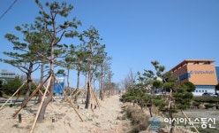 산청군, 2023엑스포약초축제 대비 소공원 조성