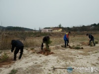 영주시, 이산서원에 학자수 후계목 식재