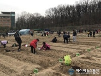 서울 도봉구, 오는 4일 친환경 나눔텃밭 개장