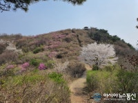 성산구, 비음산 정상과 굴반쉼터 철쭉 군락지 재정비