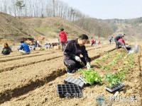 세종시 13일부터 주말농장·정원형텃밭 신청하세요
