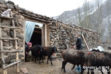 [아통 포토] 중국 신장, 아케타우 지역 파미르 고원의 신 목축민