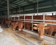 전북도, 내 농장 좋은 소 만들기 프로젝트 시동