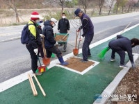 홍천군, 동면 덕치리 사과나무 식재로 가로수 길 조성