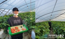 방탄소년단 슈가, 딸기농장서 근황 공개