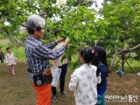 창원시, 단감테마공원 단감나무 이름표 달기 행사
