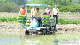 거창군, 올해 첫 모내기 시작...지난해 보다 5일 늦어