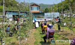 창녕군, 작목별 맞춤형 안전관리 실천 시범사업 추진