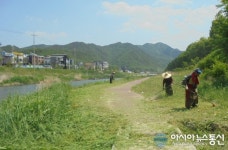대전 동구 대전천, 예초사업 통해 환경정비