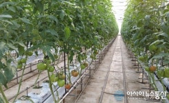 김해시, 기후변화 대응 농업 신기술 보급