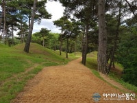 고령군, 지산동 고분군 정비 공사 완료