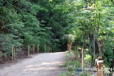 옥천군 향수호수길 확 달라지고 있어요!