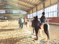 대전 복용승마장, 장애아동 재활 위한 승마 프로그램 운영