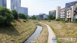 충남 천안시 서북구, 하천 산책로 대대적 정비 실시