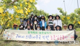 [아통 포토] 구미시의회 사무국 직원 농촌 일손돕기