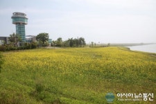 충남 당진 석문면 장고항리, 바다  호수  꽃 어우러져 장관