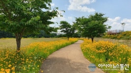 [아통 포토]한폭의 그림같은 밀양 암새들