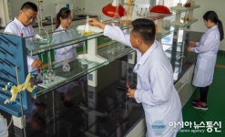 중국, 허베이 대추 산업으로 에너지를 업그레이드하도록 설계