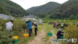 경남 고성군 농업기술센터, 코로나19 극복을 위한 농촌일손돕기