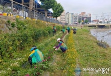 [아통 포토]충주시 성내충인동, 교현천 주변 환경정화