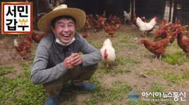 서민갑부 달걀, 자연방사 유정란으로 50억 갑부된 사연