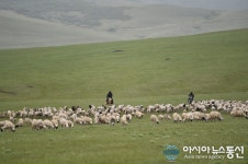 중국, 네이멍구 아루코르친 초원의 여름 풍경