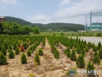 충남 서산 공림지구개발사업 주민 갈등...반목 증폭