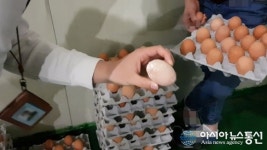 포천일고등학교 식용란직판장 | 경기도특사경, 불량 식용란 유통·판매 비양심 업자 65곳 적발