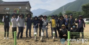 청도군 운문면, 운문사 먹거리타운에 주민들과 수레국화 파종