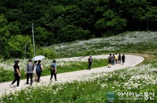[아통 포토] 가보지 못한 야생화 꽃길 소소한 트레킹