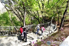 노원구, 영축산 순환산책로 온라인 걷기 참여하고 쿠폰 행운 누리세요