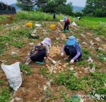 [포토]공주시 중학동 효심당경로당, 수확 감자 50봉지 기탁