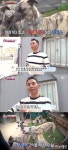 동물농장 경주견 휘핏 탈출 대소동, 이상 행동 원인은?