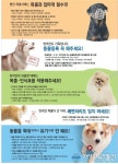 전북도, 반려인과 비반려인 위한 펫티켓 캠페인 실시