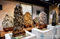 [아통 포토] 자연과 세월이 빚어낸 꽃돌