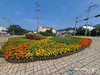 통영시 주요도로 교통섬 ‘화려한 변신’