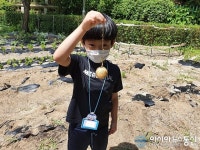 용인신촌초 농사 체험 모종 심기부터 수확까지!