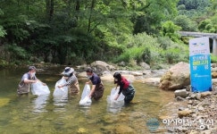 경기도 해양수산자원연, 미유기 1만 마리 가평천·백둔천에 시험 방류