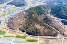 합천 삼가고분군서 고대 상어뼈 확인…경남 내륙지역 최초 발견