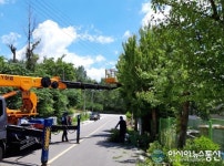 임실군 오수농공단지 깨끗하고 안전한 단지 조성 나서