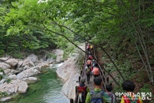산청서 여름 휴(休)가, 쉼 즐기세요
