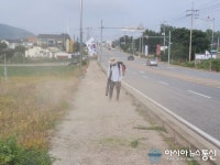 강화 불은면 삼성2리, 도로변 제초작업 실시