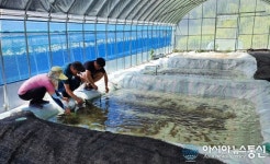 무주군, 애반딧불이 사육농가 육성