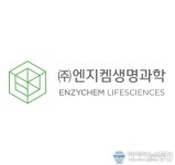 [코로나19 관련주] 엔지켐생명과학 상한가 강력한 잠재력 보유